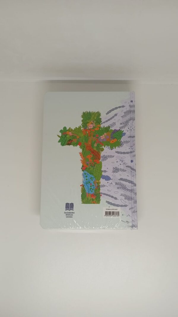 Santa Biblia RV1960 con letra grande e ilustraciones