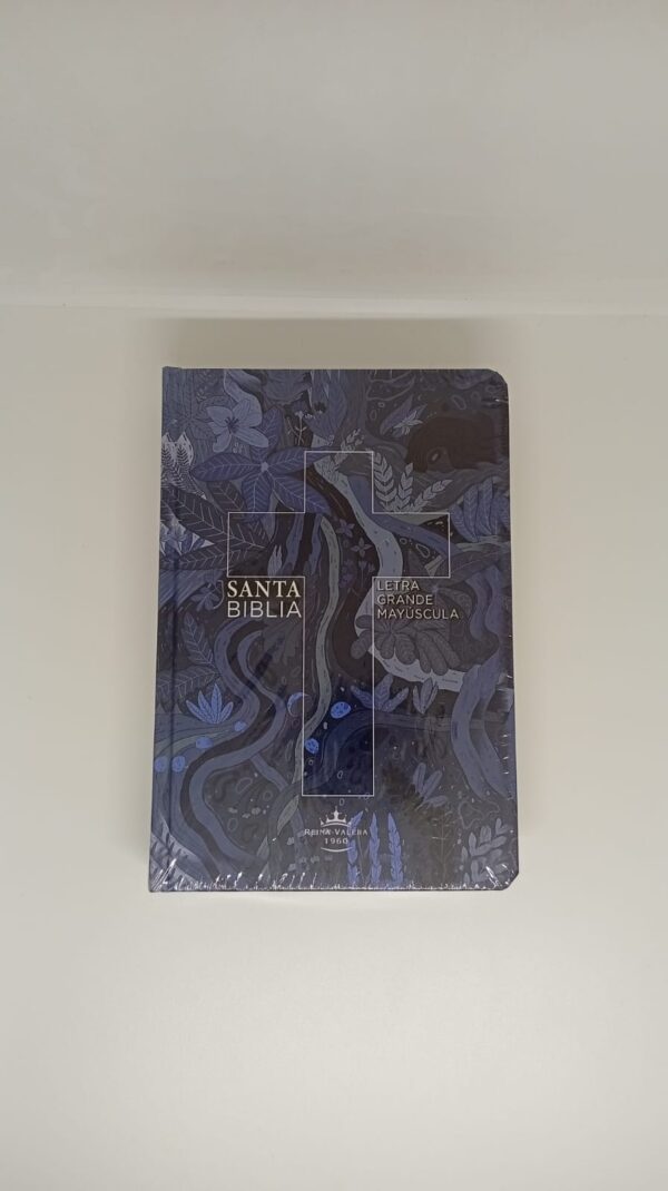 Santa Biblia RV1960 con letra grande e ilustraciones
